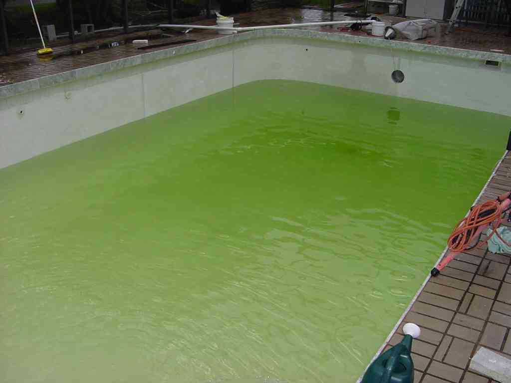 eau piscine verte